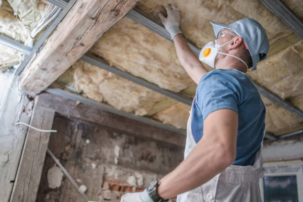 Best Insulation Inspection Services  in Summit, AZ