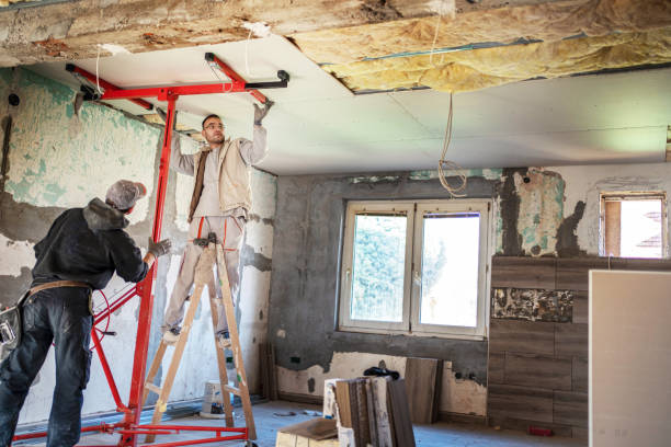 Best Cellulose Insulation  in Summit, AZ