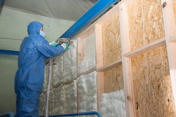 Best Insulation Contractor Near Me  in Summit, AZ