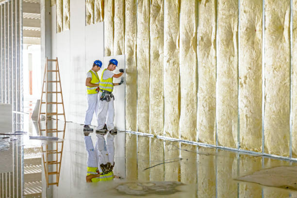 Best Fiberglass Insulation  in Summit, AZ